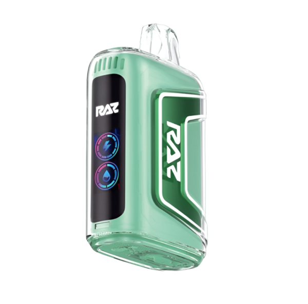 Miami Mint - RAZ TN9000 Disposable Vape